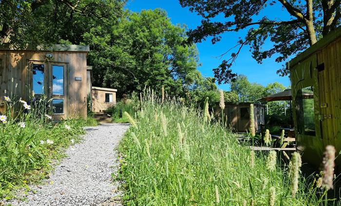A path leading to wooden cabins set amongst trees and grass and with a blue sky